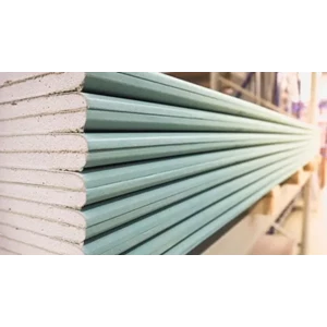 Gypsum board