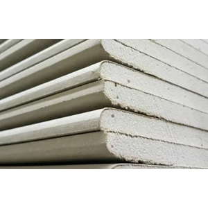 Gypsum board